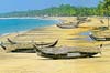 Sunbathing on Kovalam beach